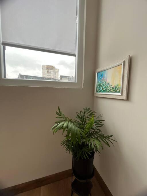 Apartamento Specious Modern *