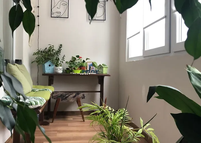 Specious Modern Apartment