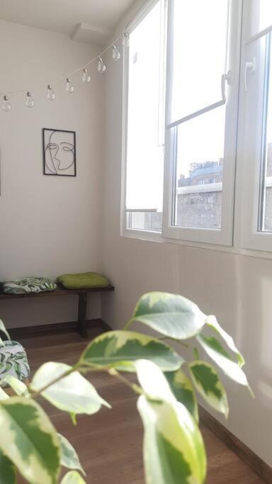 Apartment Specious Modern *