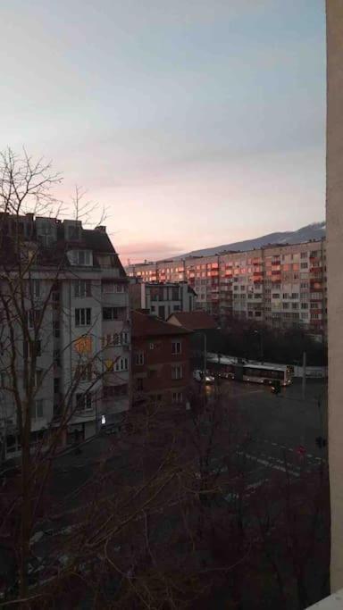 Apartment Specious Modern Sofia