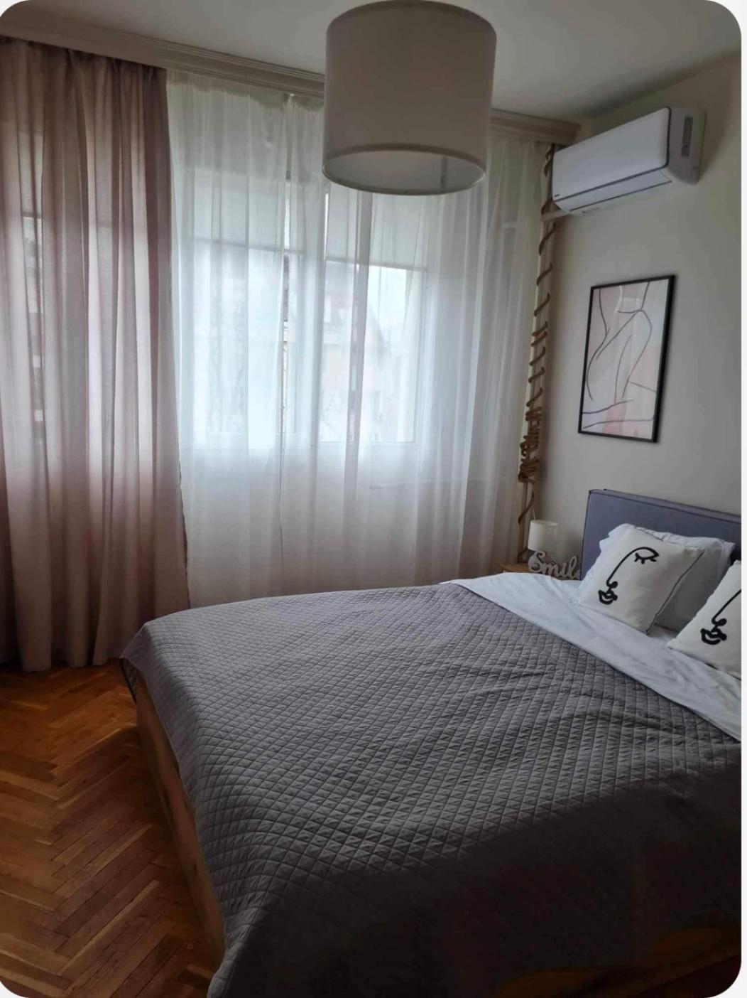Specious Modern Apartment Sofia